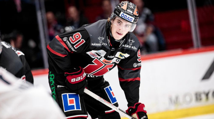 five top prospects for anaheim ducks