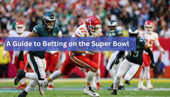 a guide to betting on the super bowl