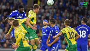 cardiff vs norwich sure tips