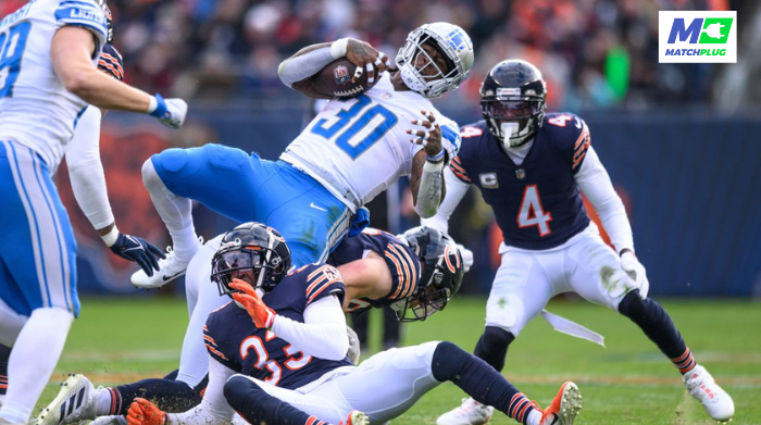 lions vs bears betting tips