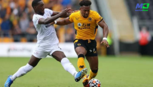 brentford vs wolves sure tips