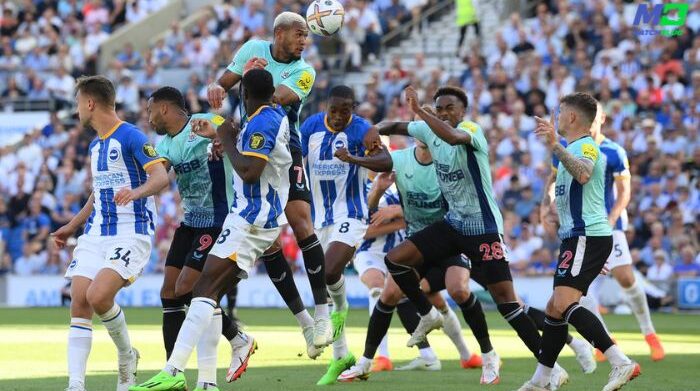 newcastle vs brighton sure tips