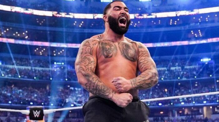 steveson signs with bills as dt