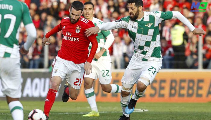 football predictions today: benfica vs moreirense