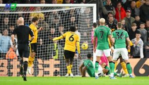 football predictions today: wolves vs newcastle united