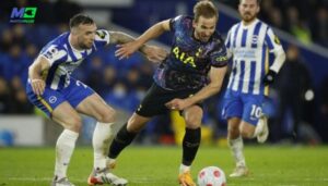 football predictions today: brighton vs tottenham