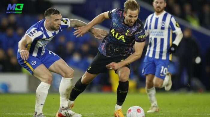 football predictions today: brighton vs tottenham