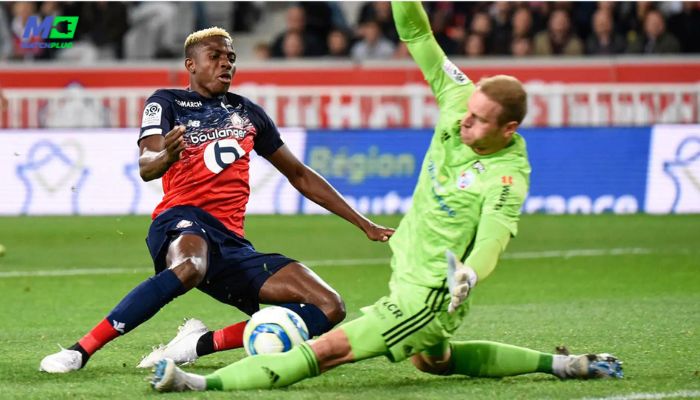 football predictions today: lille vs toulouse sure tips