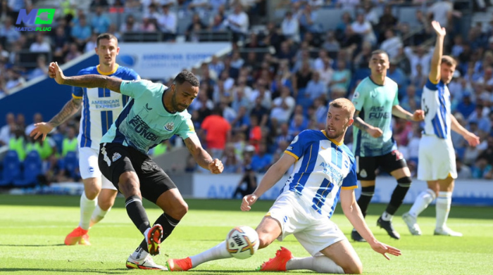 football predictions today: newcastle vs brighton sure tips
