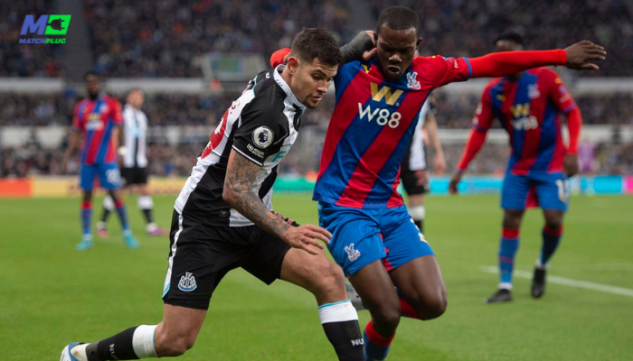 crystal palace vs newcastle