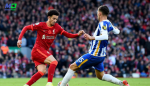 football predictions today: liverpool vs brighton