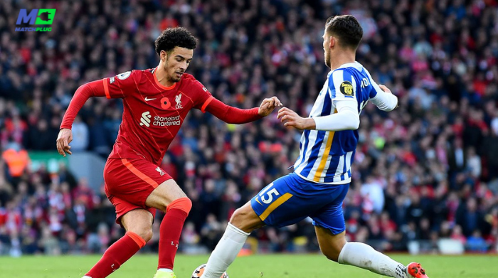 football predictions today: liverpool vs brighton