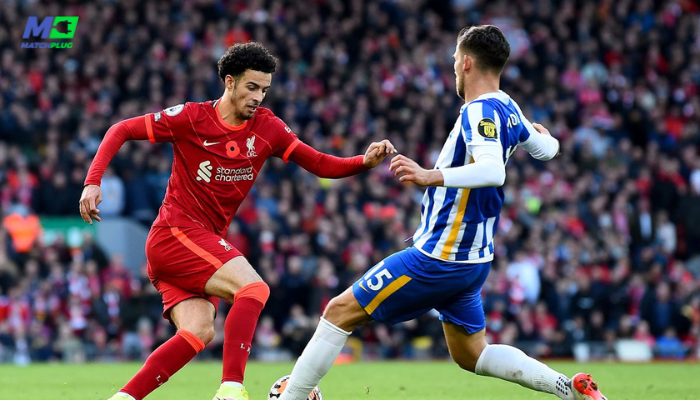 football predictions today: liverpool vs brighton