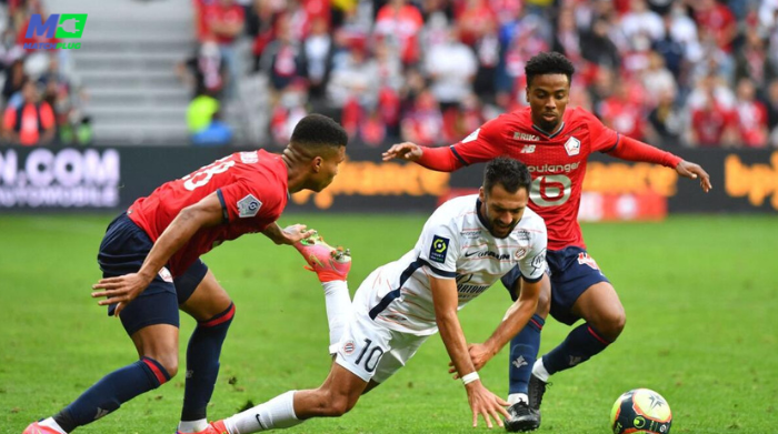 montpellier vs lille sure tips