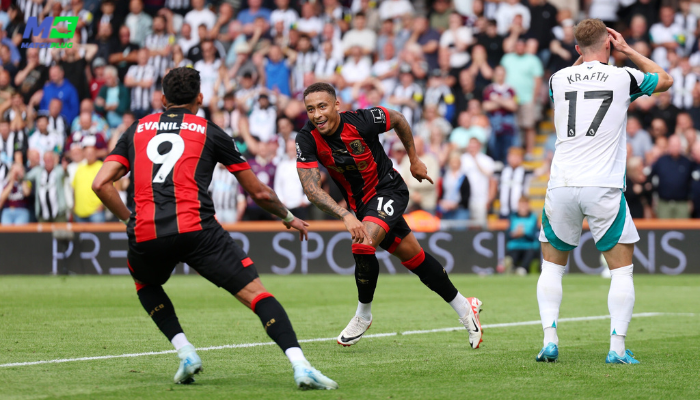 newcastle vs bournemouth: sure tips