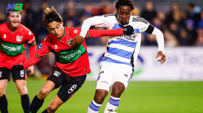 zwolle vs psv: sure tips