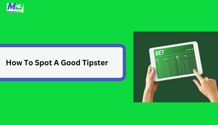 How To Spot a Good Tipster