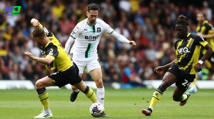 watford vs plymouth