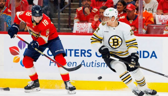 NHL Expert Picks: Panthers VS Bruins