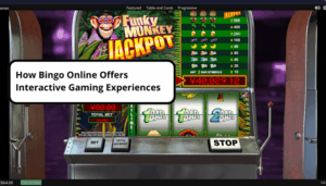 how bingo online offers interactive gaming experiences