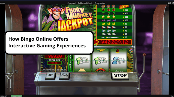 how bingo online offers interactive gaming experiences