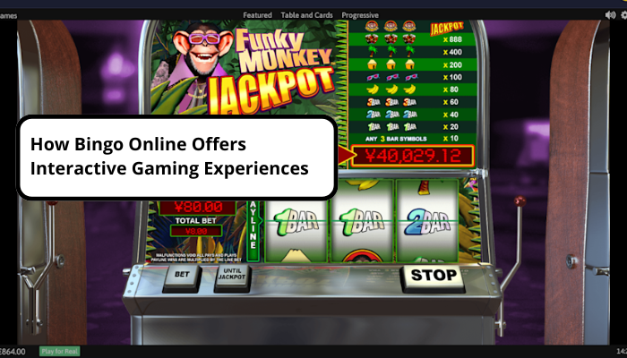 how bingo online offers interactive gaming experiences